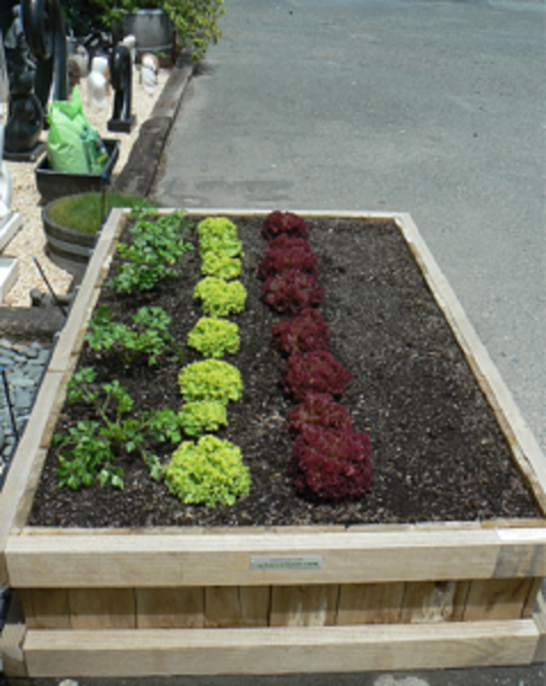 Vege Mix (PRICE PER 1/3M3) image 3